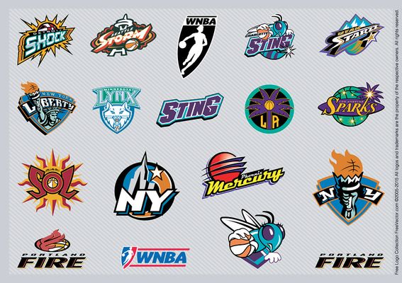 家与准职业 家与准职业